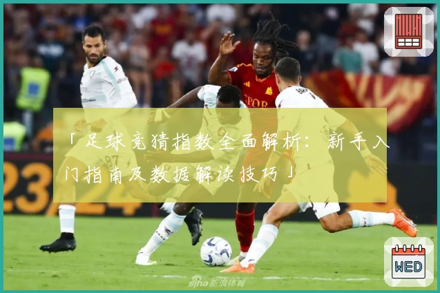 「足球竞猜指数全面解析：新手入门指南及数据解读技巧」